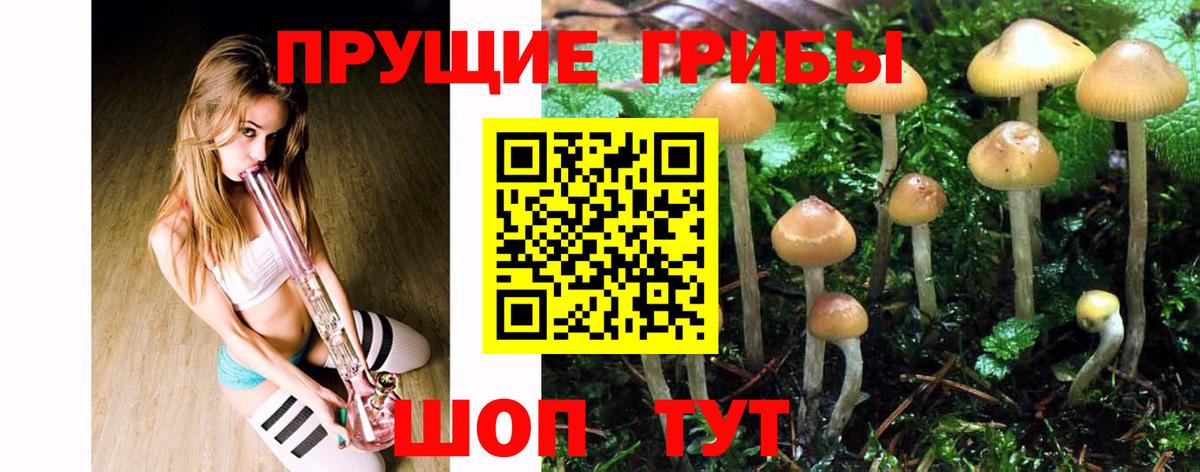 Галлюциногенные грибы Cubensis  Псилоцибиновые грибы Cubensis  Йошкар-Ола  Вход с VPN 