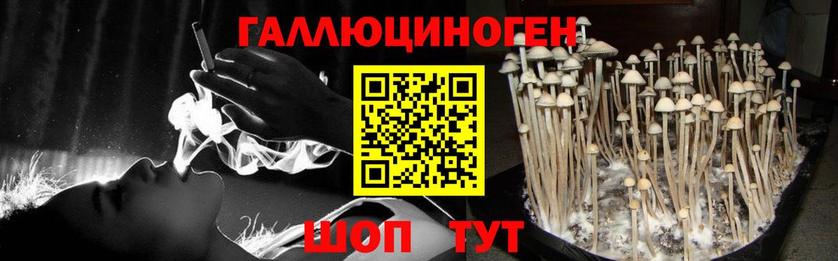 Галлюциногенные грибы прущие грибы Йошкар-Ола
